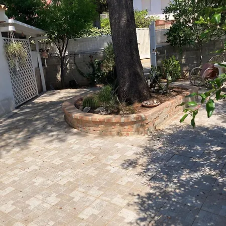 Summer לינה וארוחת בוקר פונטנה ביאנקה