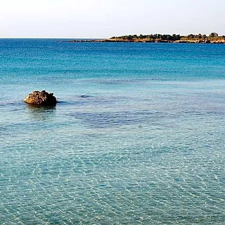 Summer *