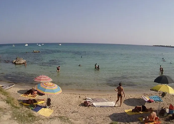 Summer Отель типа 